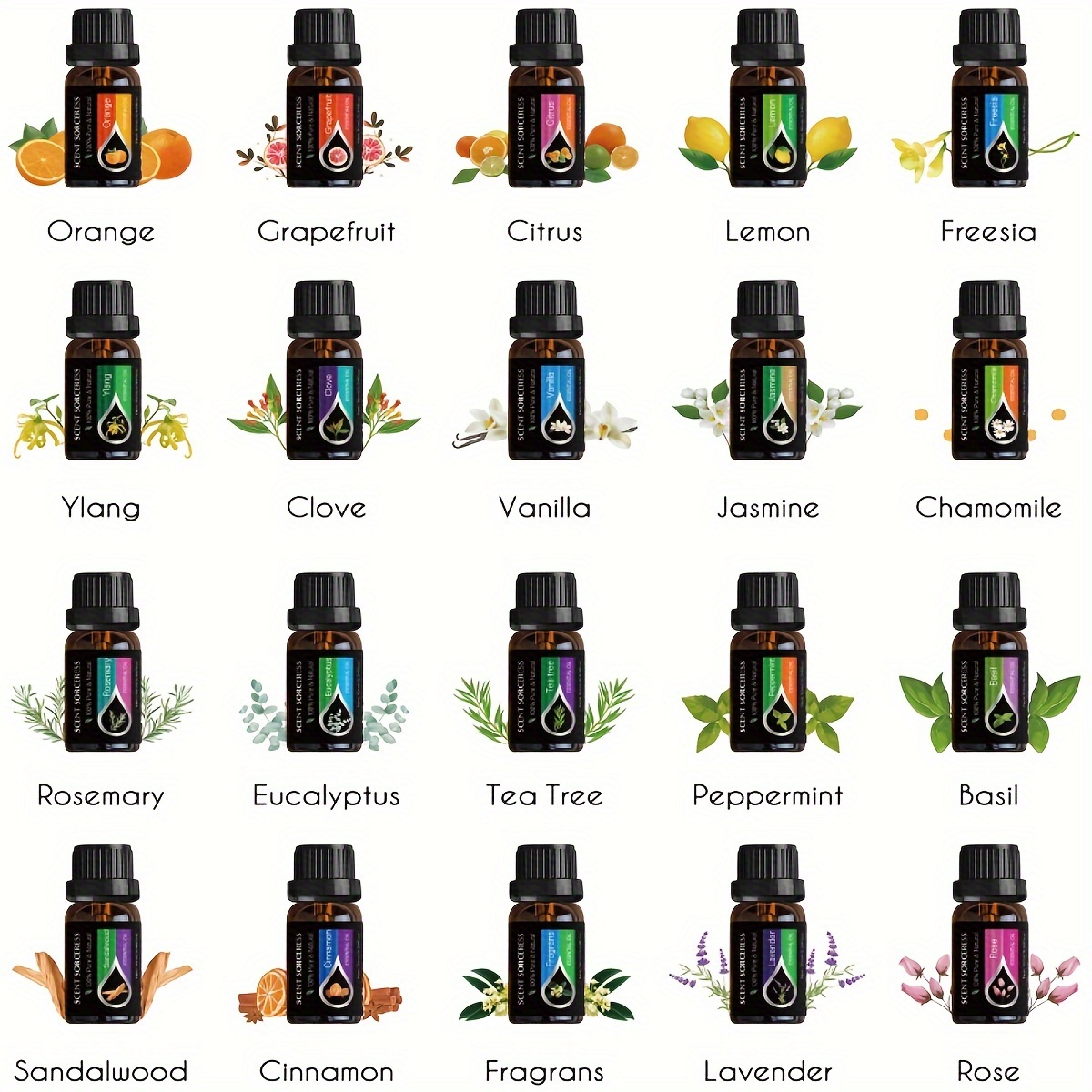 20 adet/takım klasik marka uçu - Perfume Fragrance Oil incelemesi ve fiyatı